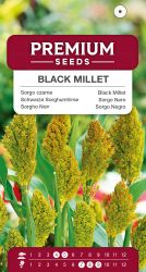 Millet Black Grass Seeds